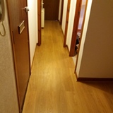 wall