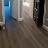 wall