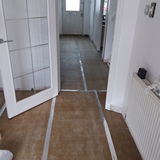 wall