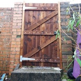 wall