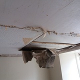 wall