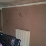 wall