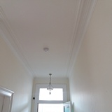 wall