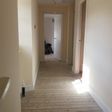 wall
